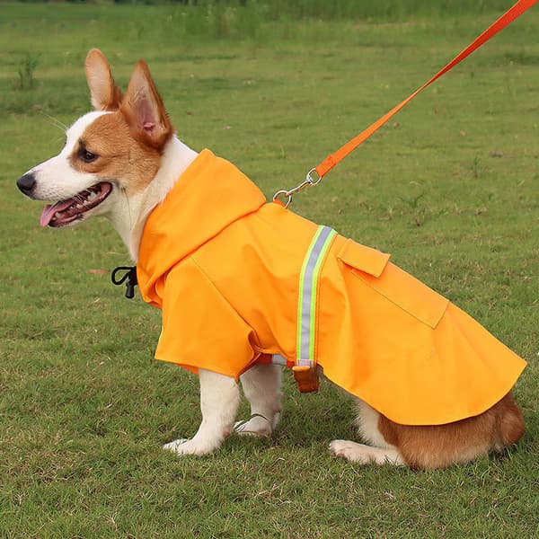 Orange refleksvest for hund, vanntett, 30 cm lang, justerbar