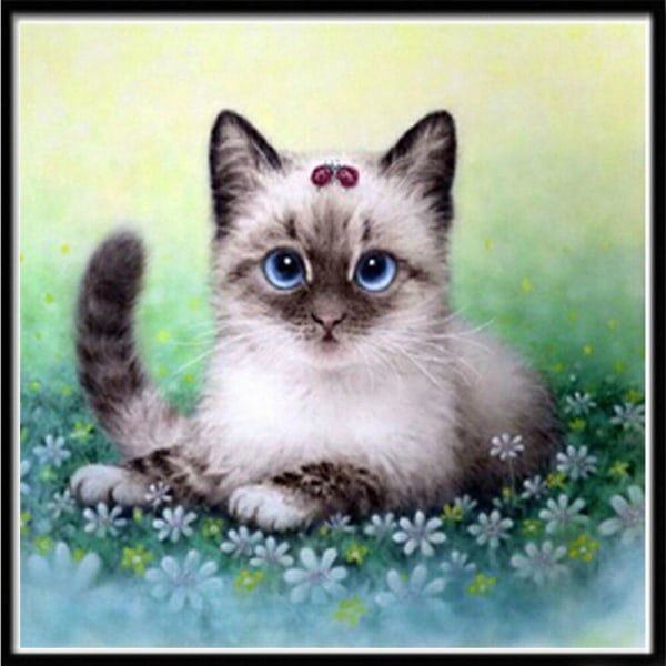 Diamantmaleri Firkantede perler 50x50 cm 5D DIY Animal Cat Multicolor