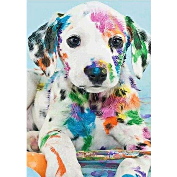 Diamantmaleri Firkantede Perler 50x70 cm 5D DIY Hunde Dalmatiner Multicolor