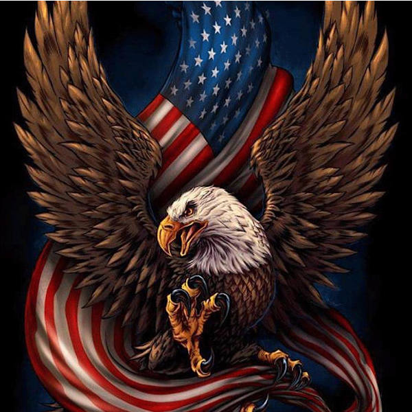 Timanttimaalaus Neliömäiset helmet 50x50 cm 5D DIY Eagle USA Multicolor