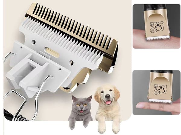 Tystgående Hundtrimmer 60DB Trådlös pälstrimmer Guld