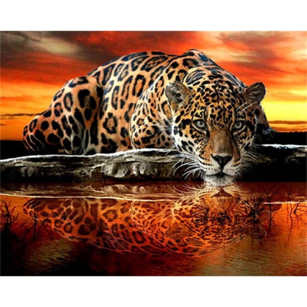 Diamond Painting / Diamantmålning 30x40cm - Leopard Vattnet multifärg