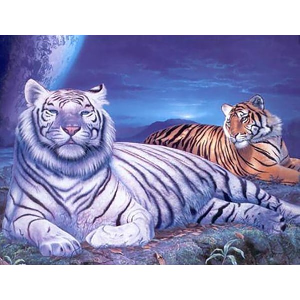 Diamantmaleri Firkantede perler 50x70 cm 5D DIY Animal Tiger Multicolor
