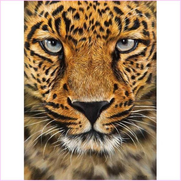 Diamantmaleri Firkantede Perler 50x70 cm 5D DIY Leopard Dyr Multicolor