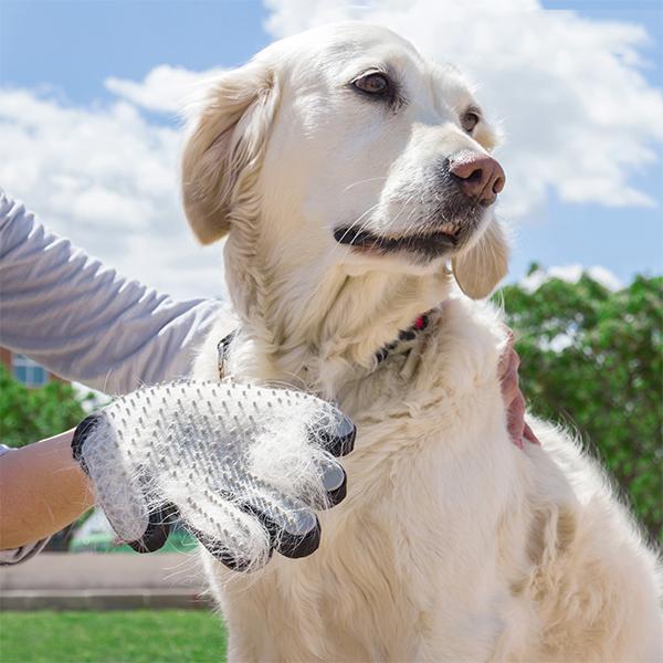 Pälsborttagare Handske / Kam / Hundkam för Hund / Tovskärare grå