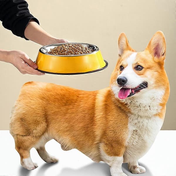 Gul - Vandskål til hund i rustfrit stål med gummibase, 2-pak