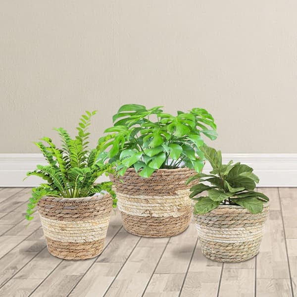 Set med 3 växtkorgar, blomkorg, vävd, gammal sjögräskorg, handvävd
