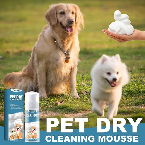 Tørshampoo Mousse til Killinger og Hunde - Uden Vand, Fjerner Lugt, Blødgør Pelsen (1-pak)