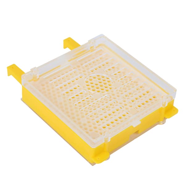 Queen Rearing Kit Queen Cell Protective Cover Complete Bee Breeding Set for Beekeepers