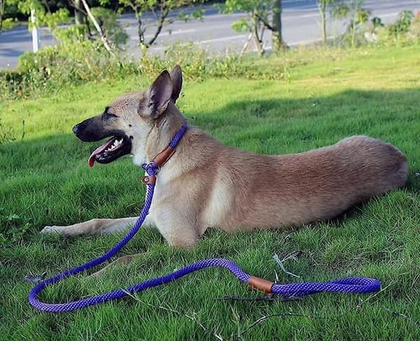 Dog Leash Leash Strong Heavy Duty Braided Dog Training Leash No-Pull Training Leash Leash for Medium Large Dogs-Purple