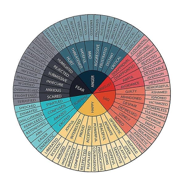 Decorative Emotion Wheel Sticker Self-Adhesive Emotion Wheel Sticker Unique Tablet Sticker