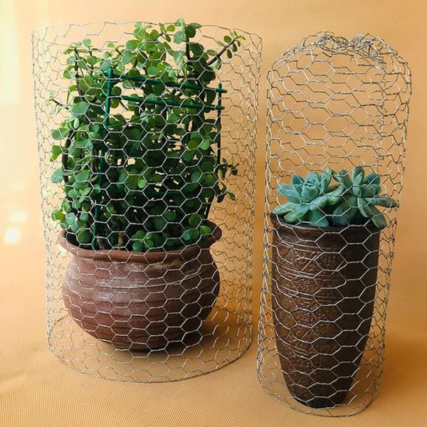 Chicken Wire Fence 0.4 KLB