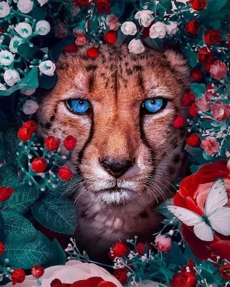 30x40cm, leopard 5d diamantmaleri strassbroderi lerret