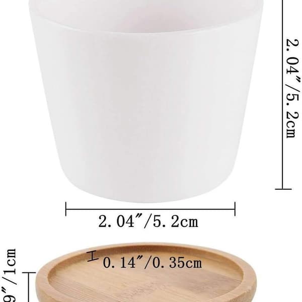 6,5 CM Potter til sukkulenter Kaktusplanter Mini urtepotter Base