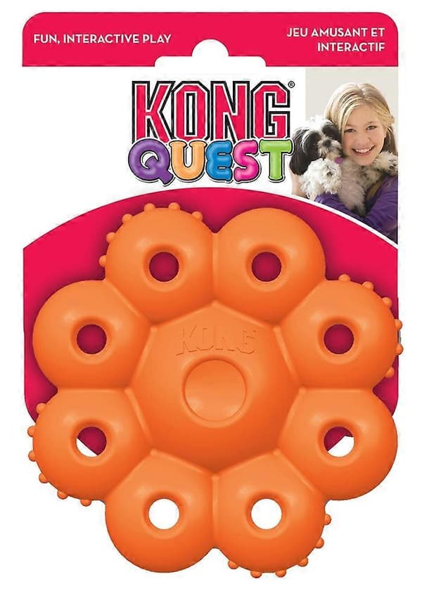 KONG Quest Star Pods Lille