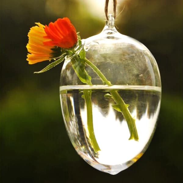 Hanging Plants Planter Flower Vase Wall Hydroponic Fish Tank Container Home Decor