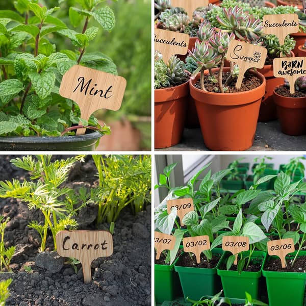 50-pack bambuplantmärken, träplantmärken T-märken trädgård