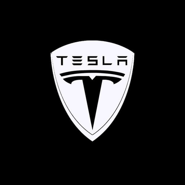 2 pcs Tesla MODEL-S/3/X/Y Door Laser Projection Floor Lamp Full Series White Shield