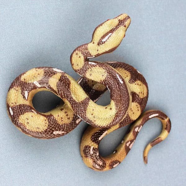 Realistic Rubber Snake Toy for Prank Props KLB