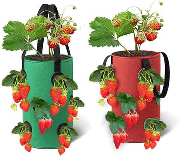 Strawberry Growing Bag, Breathable Strawberry Bag