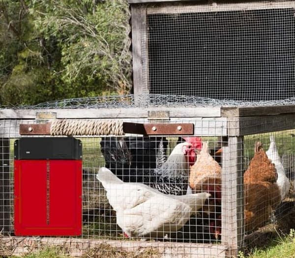 Photosensitive Automatic Chicken Coop Door Pet Door Red, 35*5*24.5cm, 1pc