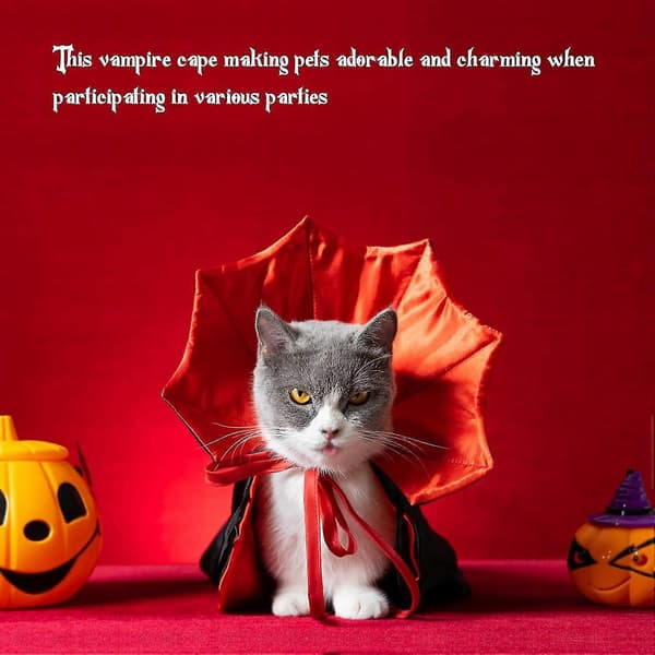 Halloween-kostumer til hunde, vampyrkappe til kat, behageligt blødt heksetøj til hunde, rød & sort hundekappedragt til små og mellemstore katte og hvalpe