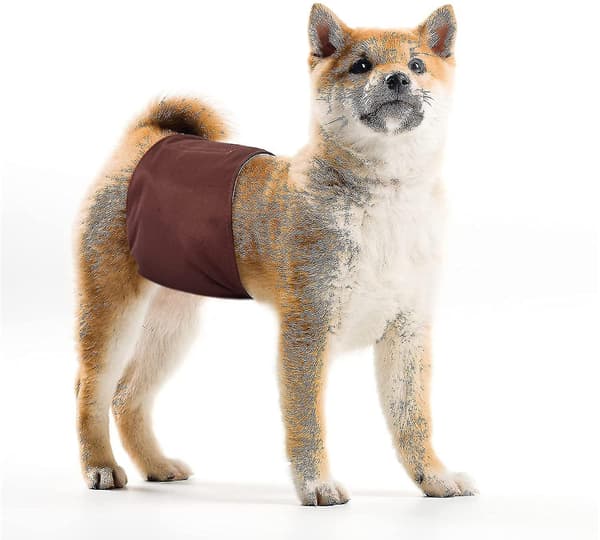 Vaskbare hundeblæier - Vaskbart magebånd for hannhund - 5-pakning