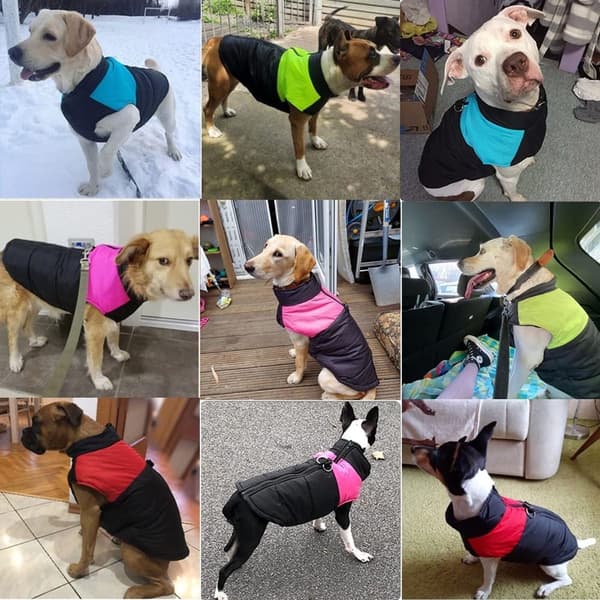 Hundkläder - Vind- och vattentäta vinterkläder för hundar Varm väst Husdjursvinterkläder