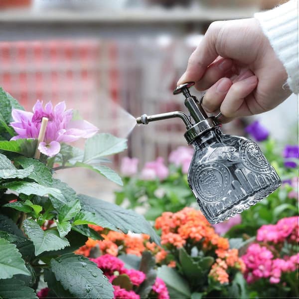 Sprayflaske til planter, glas, vandkande, lille retro med pumpe, til hjemmet