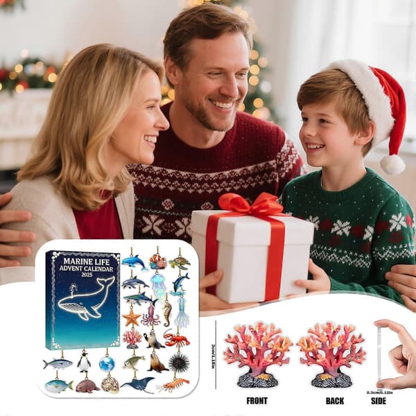 Marinliv 24 dagars julkalender nedräkning festdekoration 2D
