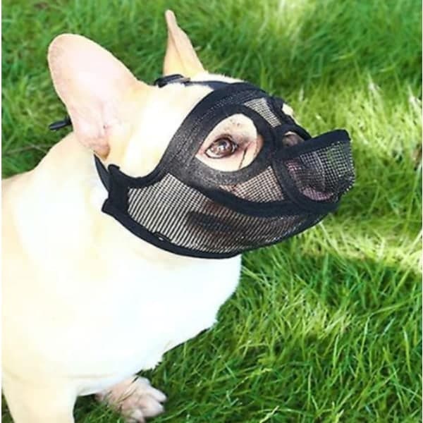 Adjustable Bulldog Muzzle - Prevents Biting, Chewing, and Barking (Size M)