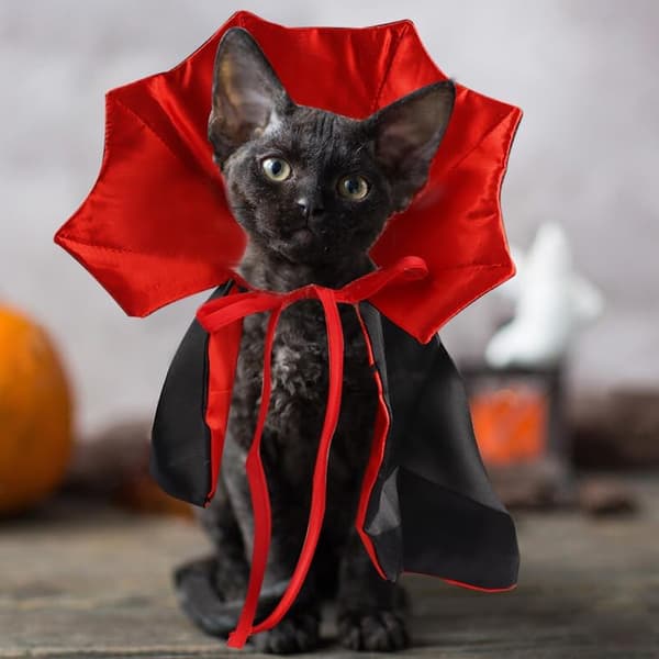 Satinstof, Multifunktionelt Kostume, Let At Bære Justerbart, Kæledyrsfester Halloween til Små Mellemstore Hunde Katte