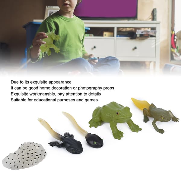 Ranidae Vækstcyklus Model Børn Miniature Simulering Dyr Tidlig Uddannelse Statue Legetøj