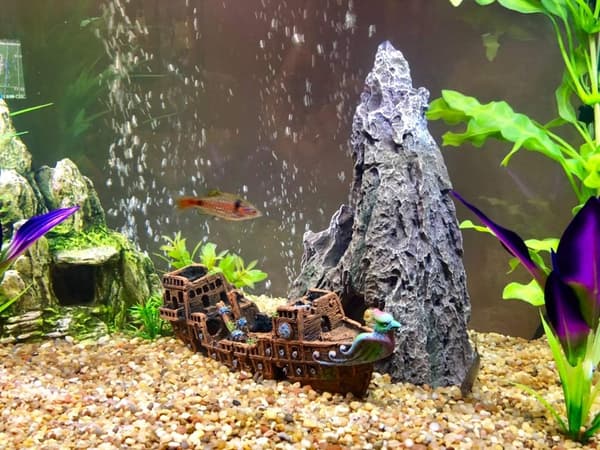 Pirate Ship Aquarium Ornaments Resin Decorations Environmentally Friendly Fi