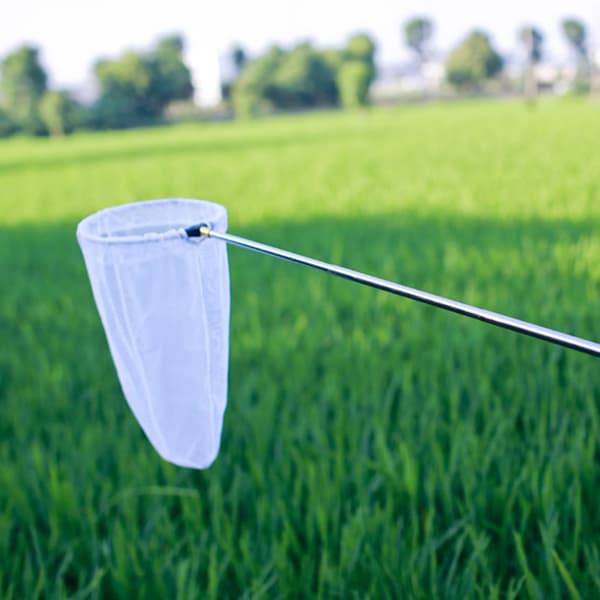 Telescopic Butterfly Net Extendable Mesh for Outdoor Garden Activities White White