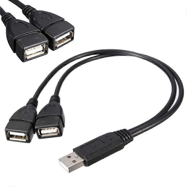 1X USB 2.0 A han til 2 dobbelt hun-stik Y-splitter adapter hub NY strøm P4F0