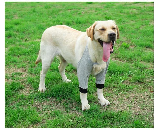 Elbow Brace for Dogs, Soft and Breathable, Pain Relief, Shoulder Support, Elbow Protector (S)