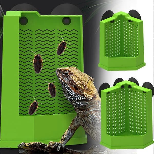 Large B Lizard Gecko Bearded 2026 Global Trend - Sustainable design optimized for high-performance use. M 1pcs M 1pcs