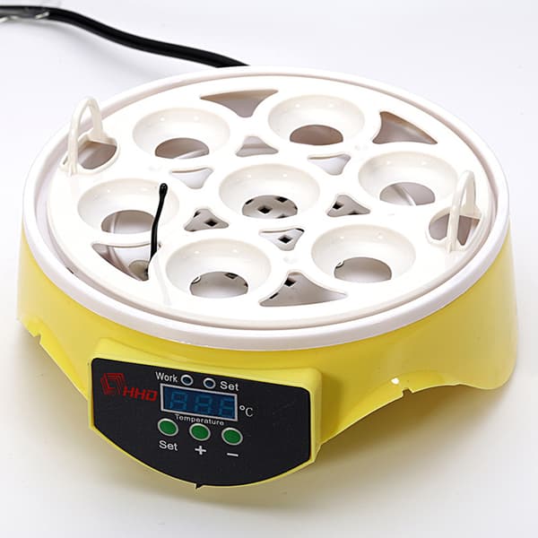 Automatic Egg Incubator with Temperature Control, 7-Egg Capacity for Chicken Hatching, Family Farm, and Easter Decoration