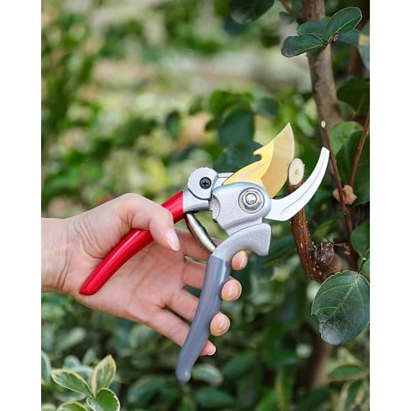 Replacement Spring for Pruning Shears, 6 cm Standard Accessory, Heavy-Duty Stainless Steel Coil Spring, Compatible with Bypass Pruners