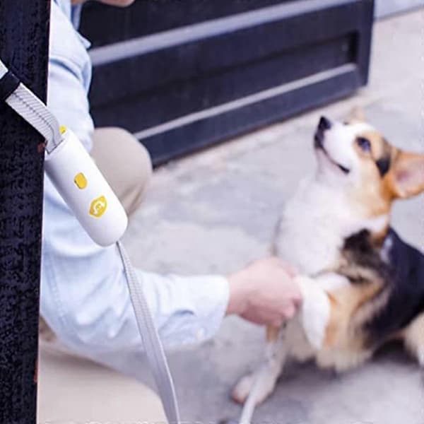 Dog Leash with Non-Slip Handle, Rope for Small Medium Dogs
