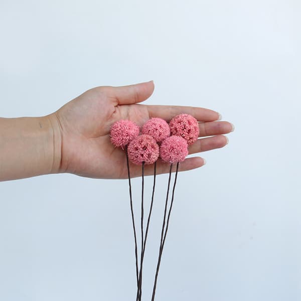 Billy Ball Blomster Tørrede Blomster Kunstige Tørrede Blomster Hjem Have Dekoration