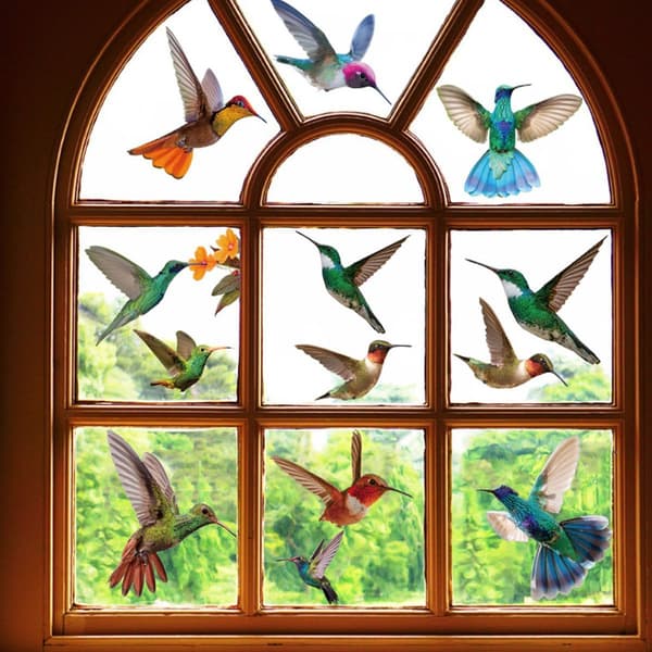 Garden Bird Wall Decals for Kids, Removable and Self-Adhesive, KLB