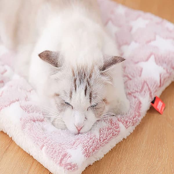 Sengemåtte til hunde og katte, vaskbar, med søde print, KLB