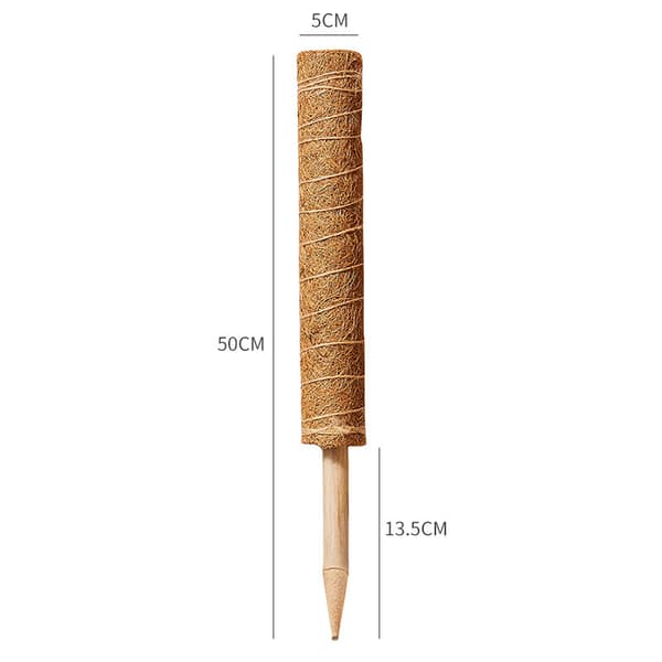 2 kappaletta 50 cm kasvitukia, kookoskasvitukia