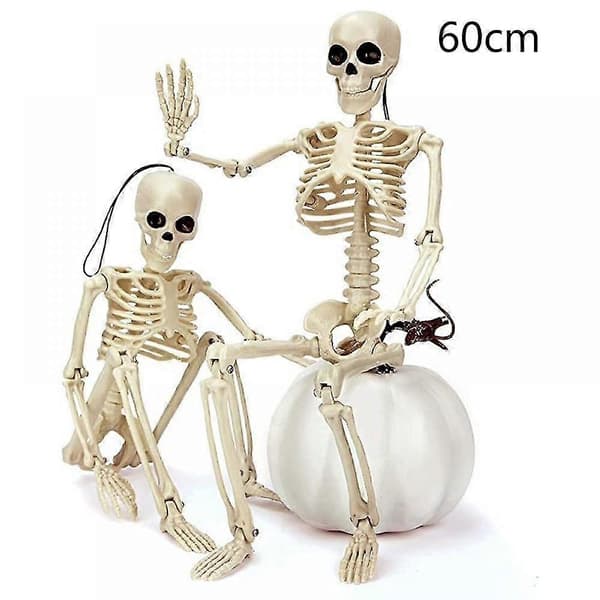 Mike 60 cm Halloween Skeleton, Full Body Skeleton with Movable Joints for Haunted House Decorations