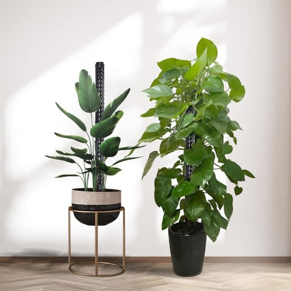 Trellis, Plant Support, Moss Pole for Monstera, 6-pack, Coconut Plants, Moss Pole, Plant Support, Monstera Climbing Aid KLB
