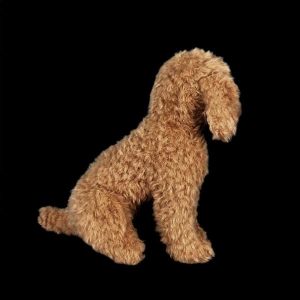 Realistinen pehmolelukoira Labradoodle pehmolelu lapsille