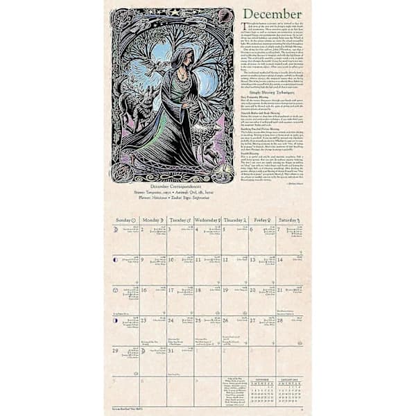 Witch Calendar 2024, Funny Wall Calendar 2024, Creative Witch Calendar 2024