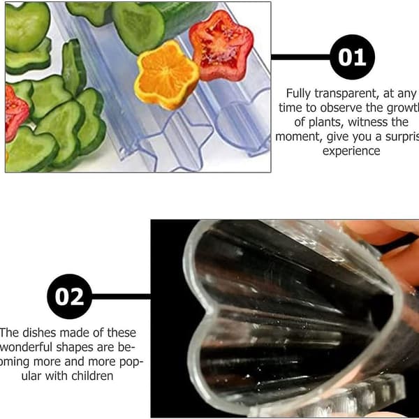 4-pack Cucumber Mold Transparent Vegetable Fruit Plant Mold Growth Observation